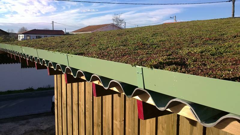 maison traditionnelle en bois avec toit végétalisé en Gironde