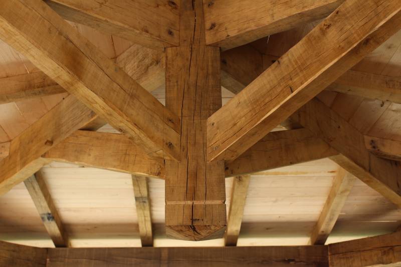 Chene et chataignier Bordeaux